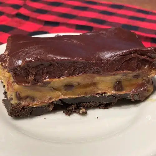 Salted Chocolate Peanut Butter Bars