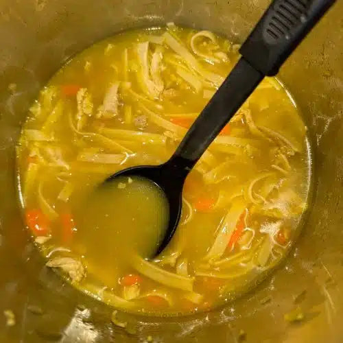 Chicken Noodle Soup with Ginger