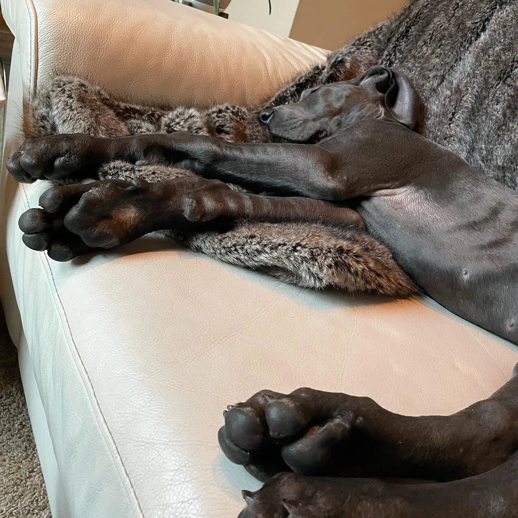 Faux Fur Blanket